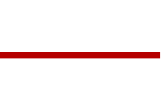 Benguturk TV
