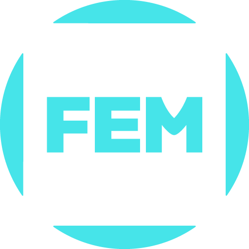 FEM